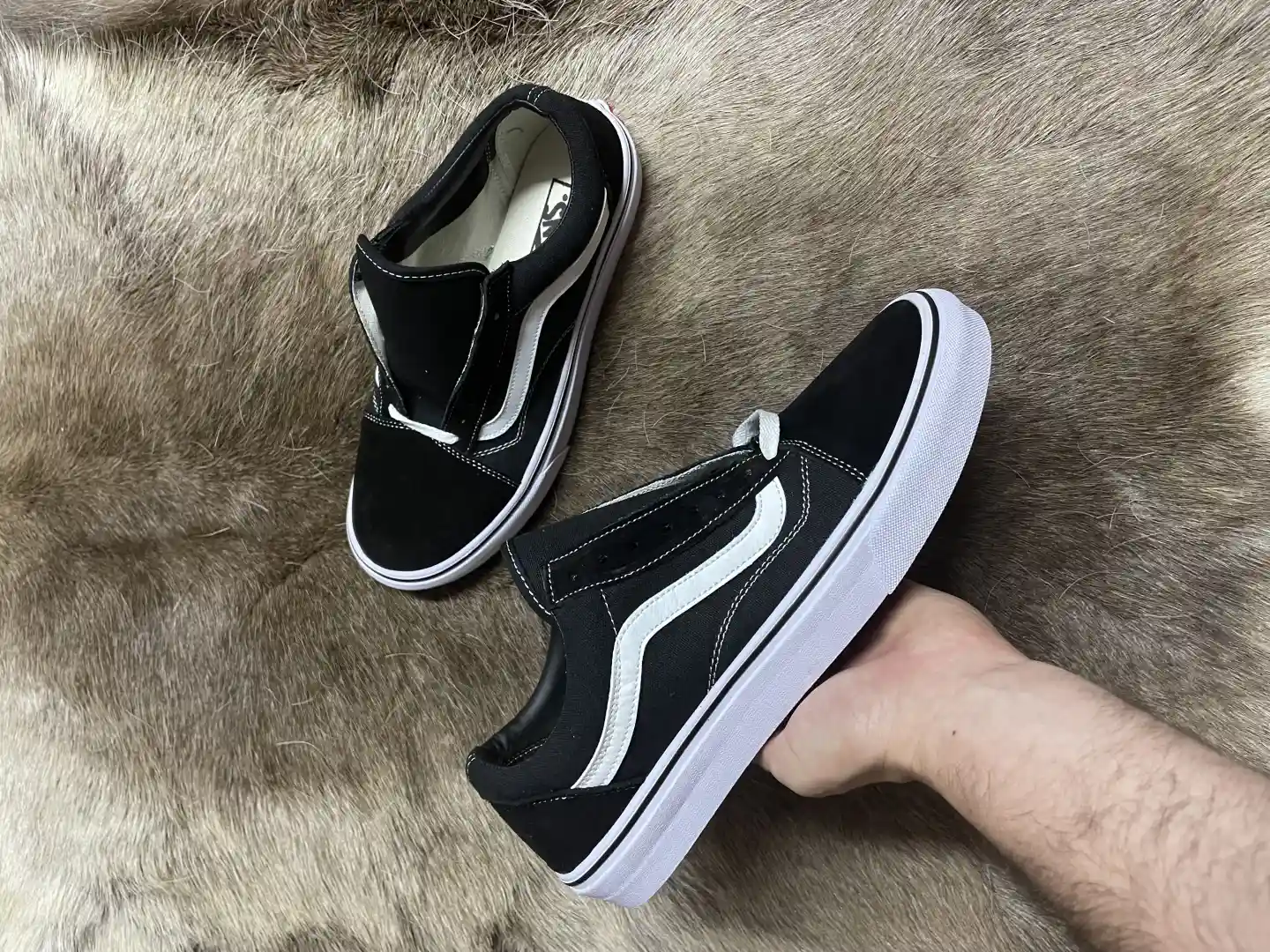 Vans